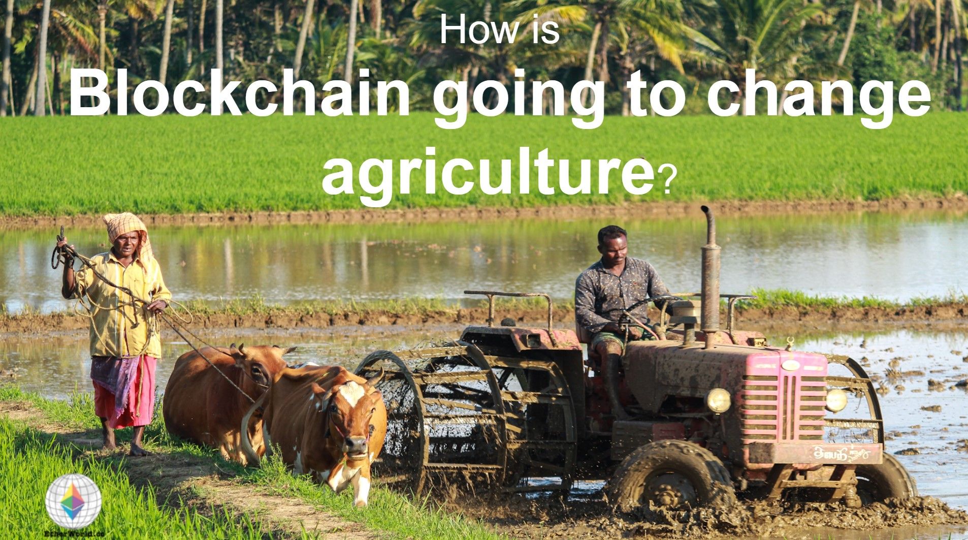 How is blockchain going to change agriculture?