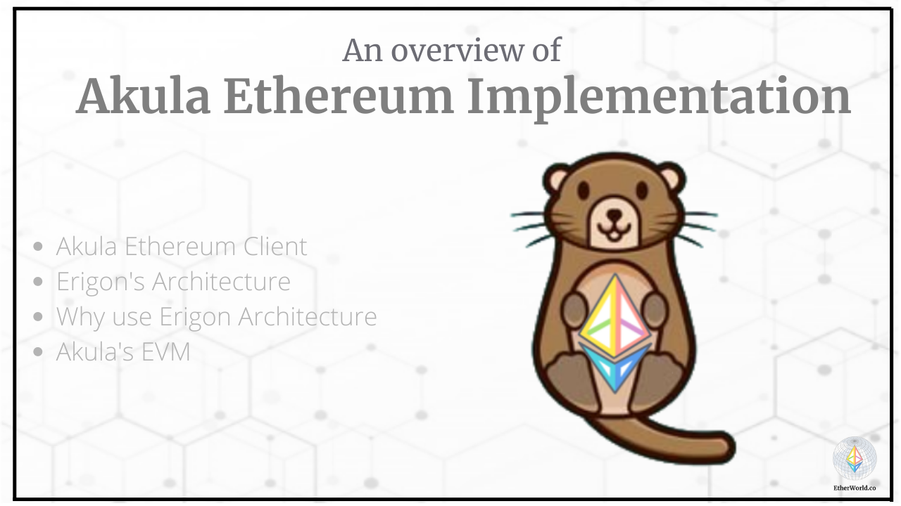 Akula Ethereum Implementation