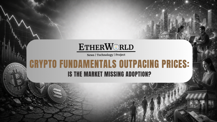 Crypto Fundamentals Outpacing Prices: Is the Market Missing Adoption?